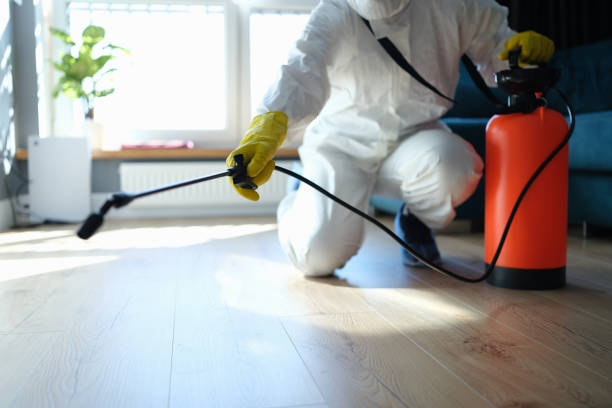 Reliable Biohazard Cleanup contractor in Brighton, MA by Dulley Family Biohazard Services